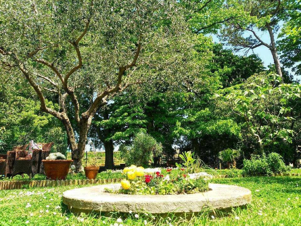Apartmaji, Sobe - Obzidje Hotell Piran Exteriör bild